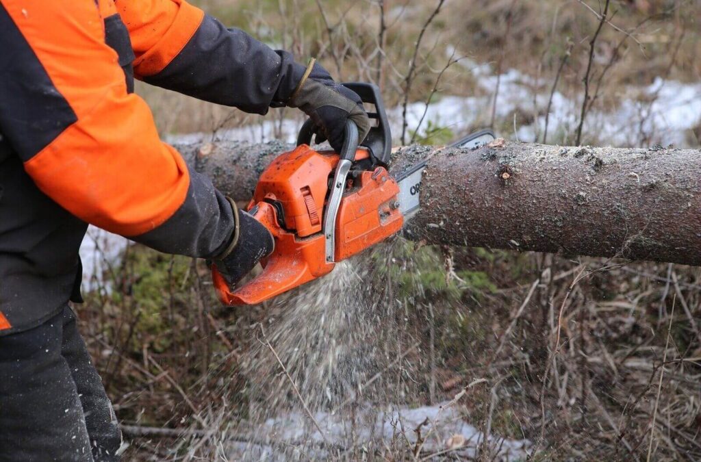 Tree Removal on the Central Coast